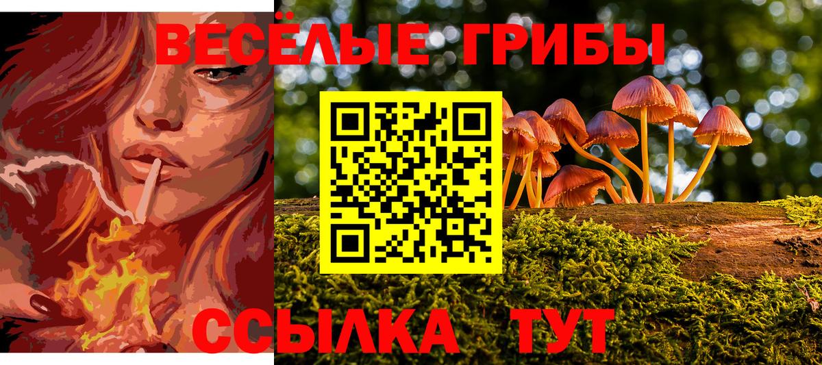 Фурманов  Галлюциногенные грибы Psilocybe  Псилоцибиновые грибы ЛСД  Вход с VPN 
