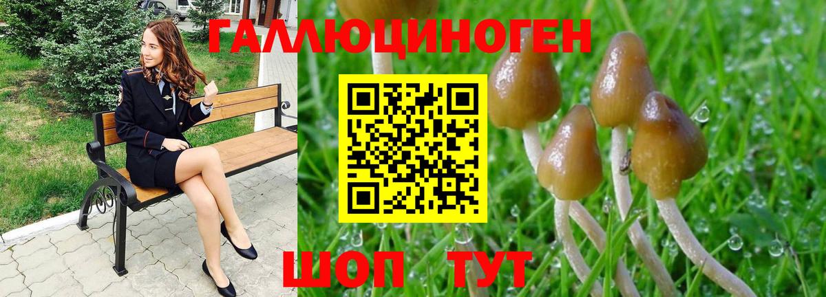 Псилоцибиновые грибы мухоморы Фурманов
